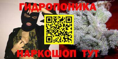 гидра Донецк